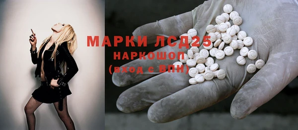 ПСИЛОЦИБИНОВЫЕ ГРИБЫ Аркадак