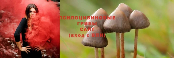 твердый Арсеньев