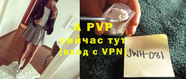 твердый Арсеньев