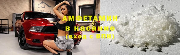 твердый Арсеньев