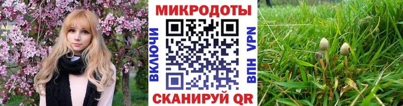 Псилоцибиновые грибы Cubensis  где купить наркоту  Крым 